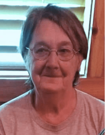 Diana L. Hines Obituary