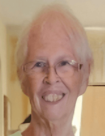 Diane K. Rhinesmith Obituary