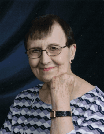 Patricia Ann Vogelzang Obituary